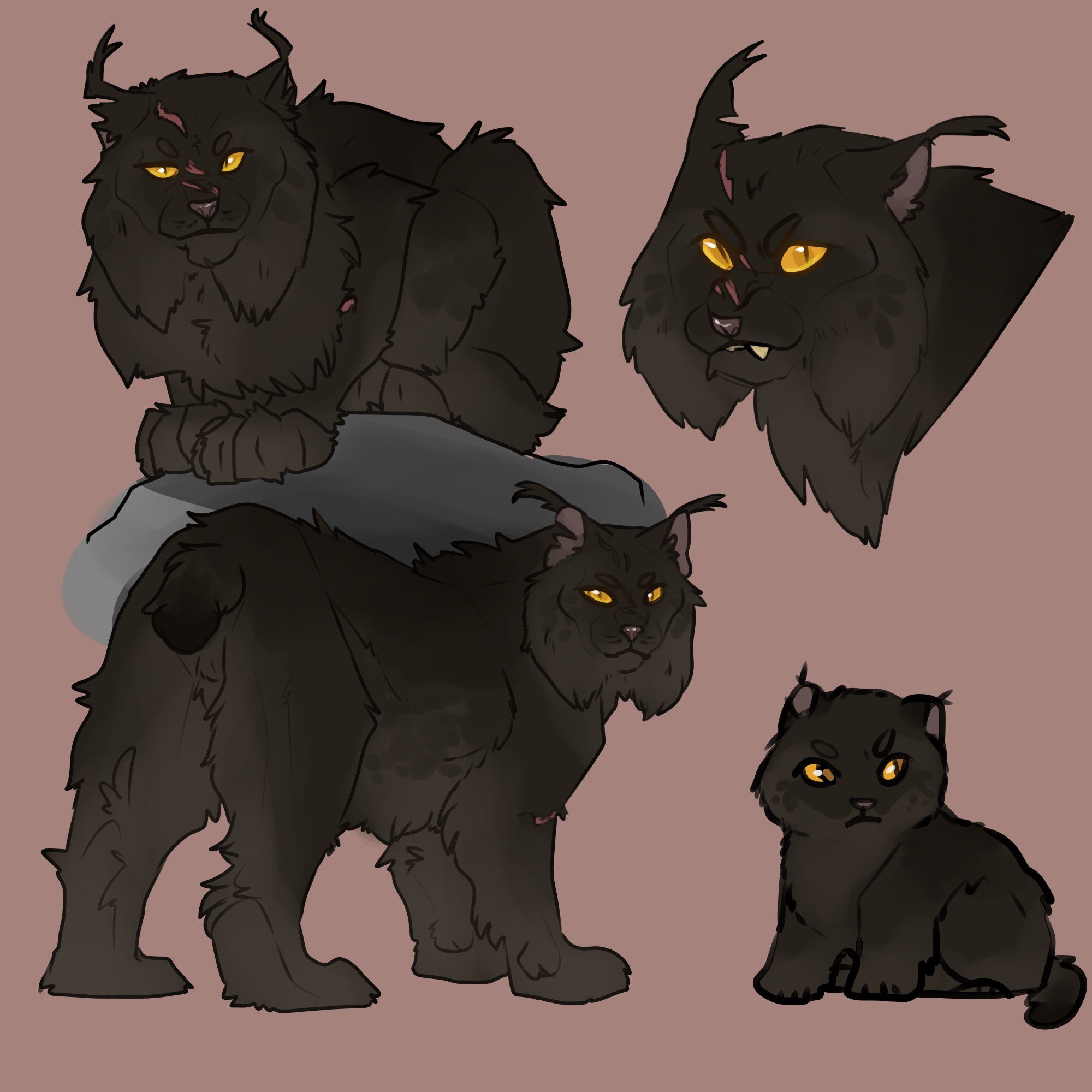 Warrior cat RP