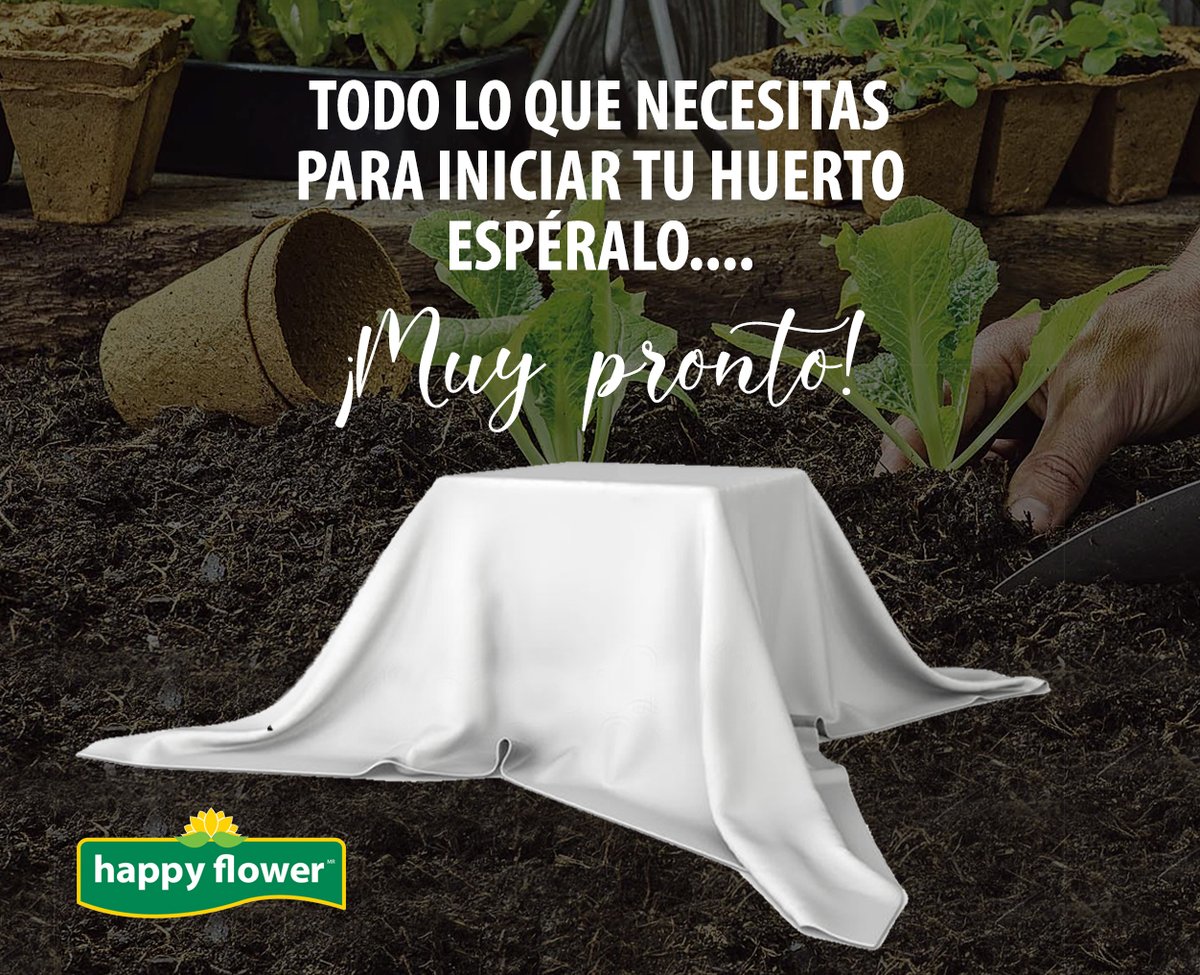 happyflowermex's tweet photo. ¡Muy pronto! Estamos trabajando en un nuevo producto para que inicies tu huerto en casa de la manera más fácil y efectiva. ¡Espéralo!
#huertoencasa #huertohurbano #ecohuerto #happyflower https://t.co/Cwwuer3OBo