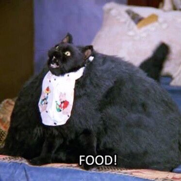 rummrr's tweet image. #НовыйАватар