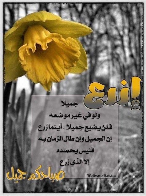 radiya2222's tweet photo. "يتأخر الذي تتمنّى؛ لتتعنّى أكثر، لتدعو أكثر، يُحبّ الله إلحاحك.. كم من ملمّة في عمرك كانت باب منح، كم هي البلايا التي جاءت محملةً بالمطر!"♥ https://t.co/YAe3YjzSeD