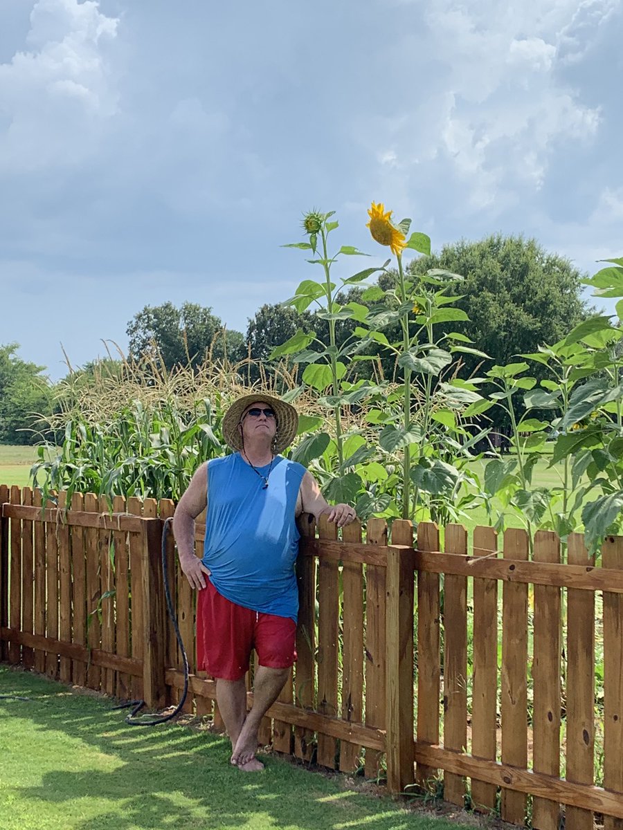 hubertdebbie1's tweet photo. Cha Cha and his “Huuugh” sunflowers https://t.co/NWRl43ZBav