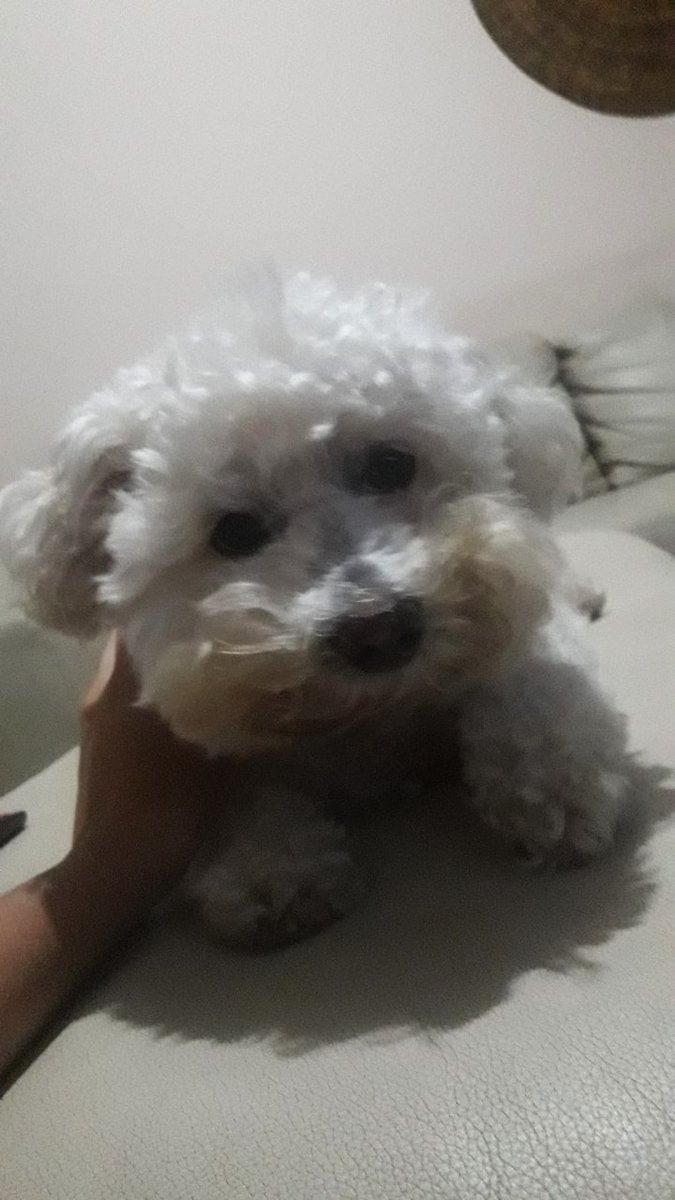 _SLulua_'s tweet photo. af meo deoso😍 https://t.co/9rUDdZiA0y