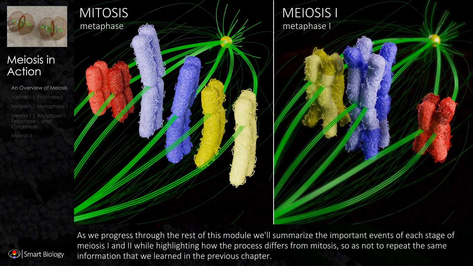 Smart Biology on Twitter: Smart Biology on Twitter: