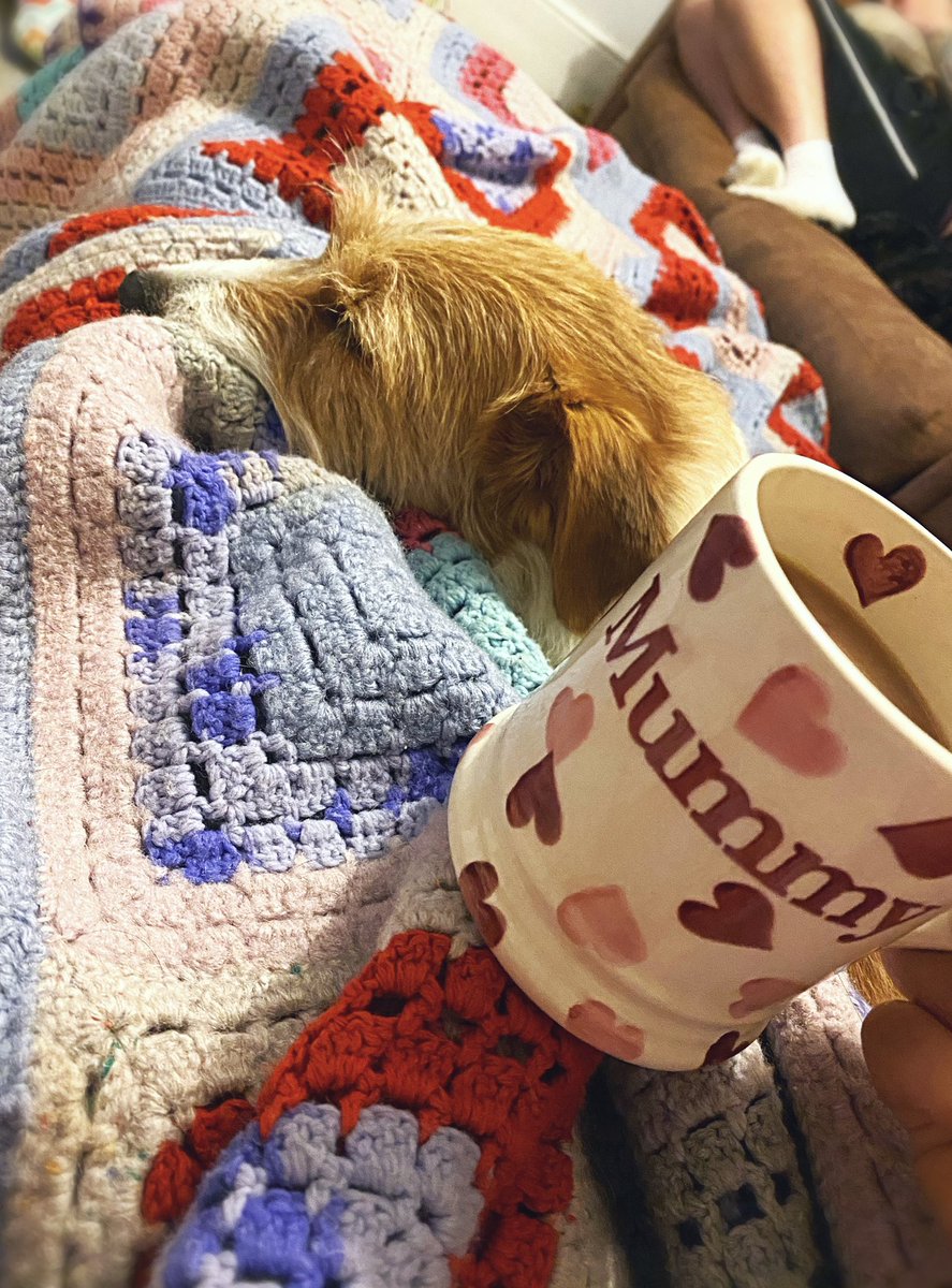 Hollieb8's tweet photo. COSY SATURDAY NIGHT 🎥 ☕️ 

A blanket, my pops, and a cuppa... perfect night for me 🥰 To be able to work from here, the comfort of my sofa is a dream 💫 

PROCESSING ORDERS TIL 11pm 

#DMforInfo #PrincessMovement https://t.co/uiCt3nBZdA