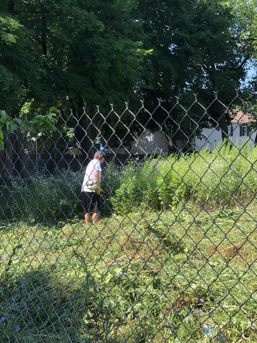 HabitatPVD's tweet photo. Some days you just need to get out there and get it done. Thank you Habitat board member @markrhoads for helping out! Rhoads 1-weeds 0. #siteoffuturehabitathome #sweatingalot #PCAlumni https://t.co/XAIG3odVoV
