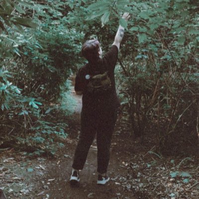 capturegalaxies's tweet photo. Down with the trees 🌿 #NewProfilePic https://t.co/MKIIBSFr8i