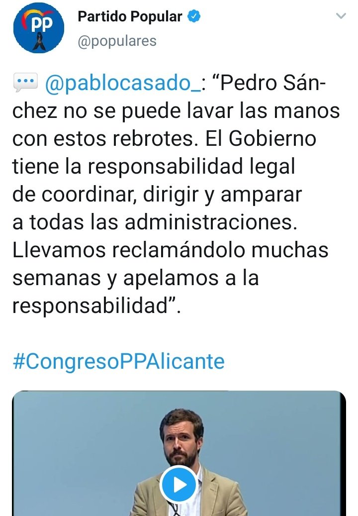 Anacleto Panceto tweet media