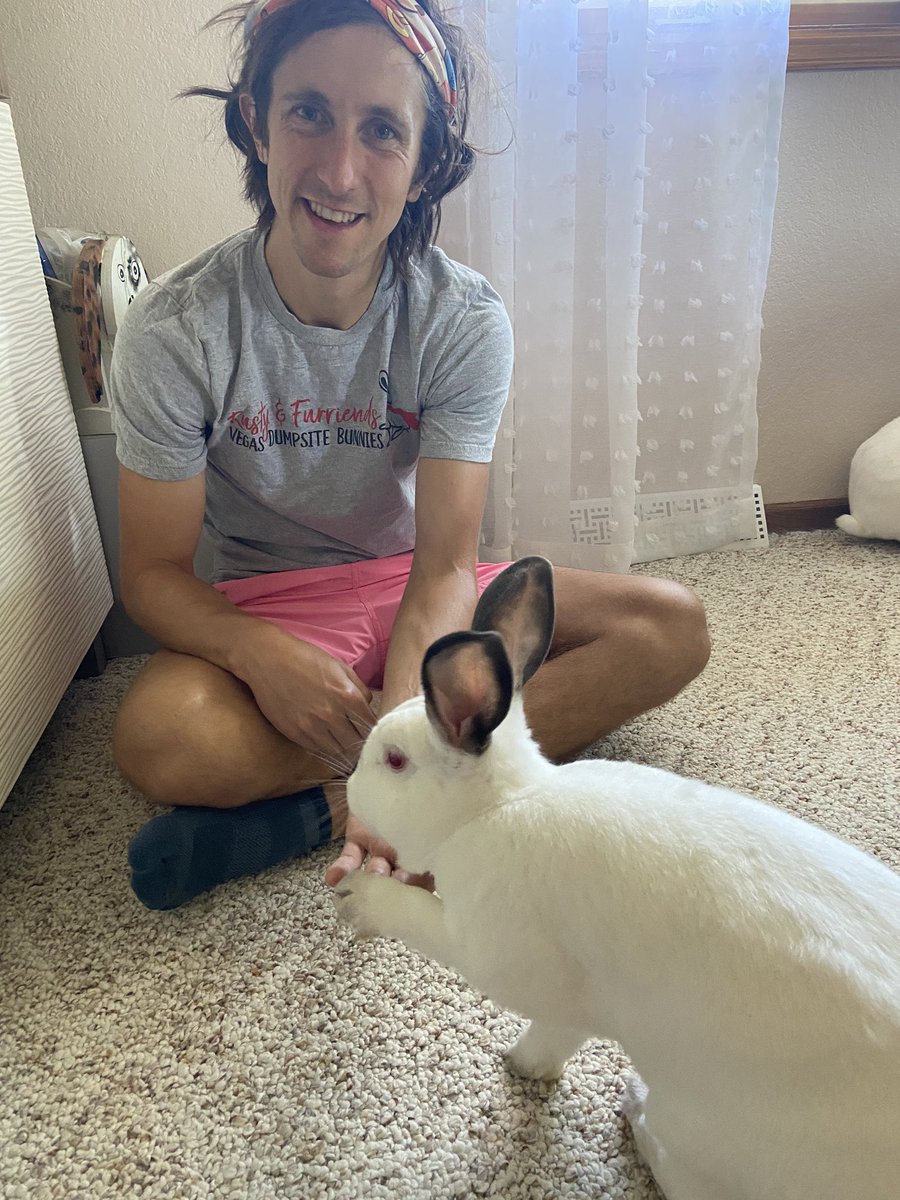 SuperBattletoad's tweet photo. @pooplos_z I love you and so do my bunnies. Next time you see Bippy he’ll give you a hi five https://t.co/23fQdkRvWx