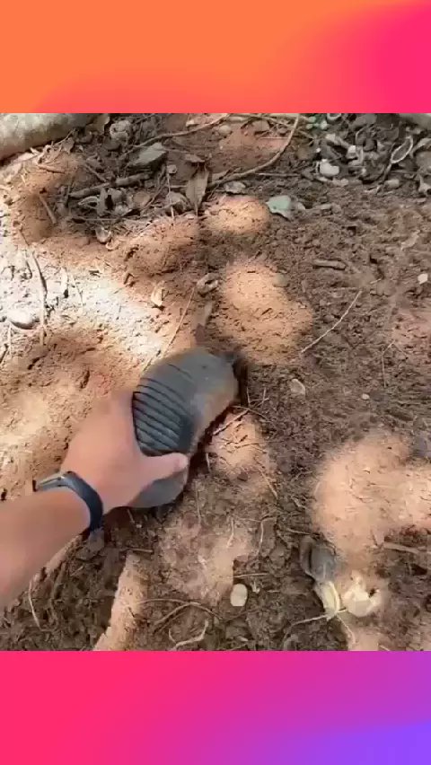 Brodet13's tweet photo. Mengejutkan! 😱😱Kamu harus menontonnya sampai habis! 👇🏻👇🏻 #Likee #HelloLikee
 #LIKEEapp https://t.co/d6t597X58F https://t.co/L8T2TKTK4h