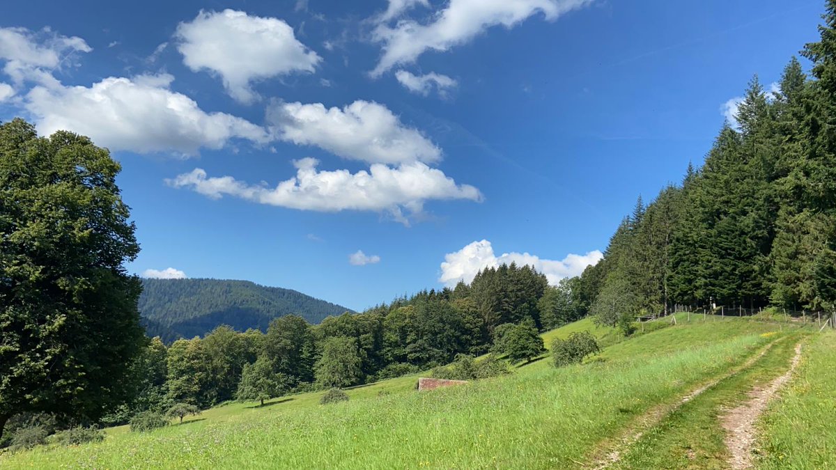 ichunterwegs's tweet photo. Bad Peterstal-Griesbach mit @WRIGHTSOCKnews war heute: Wandern auf dem Himmelssteig, Gin-Tasting bei @BoaRgin und Achtsamkeitswandern im Tal der Wilden Rench. Einfach nur 💕.
Und das auch wegen @AktivddLeben @WanderReportDT und @WellSpaPortal
#werbung #bloggerreise #wandern https://t.co/jBQQ2PUdA8