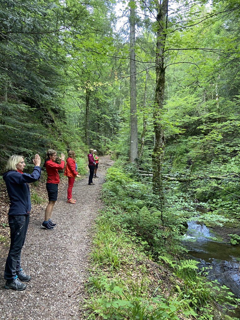 ichunterwegs's tweet photo. Bad Peterstal-Griesbach mit @WRIGHTSOCKnews war heute: Wandern auf dem Himmelssteig, Gin-Tasting bei @BoaRgin und Achtsamkeitswandern im Tal der Wilden Rench. Einfach nur 💕.
Und das auch wegen @AktivddLeben @WanderReportDT und @WellSpaPortal
#werbung #bloggerreise #wandern https://t.co/jBQQ2PUdA8