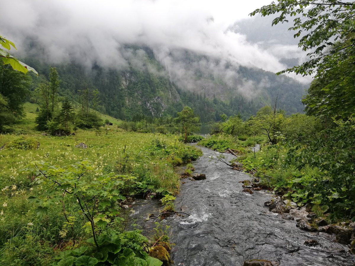 DavidPletanek's tweet photo. #Königssee & #Salet-Alm am Obersee
🔝👌🏻 https://t.co/FQtpe4t9uk