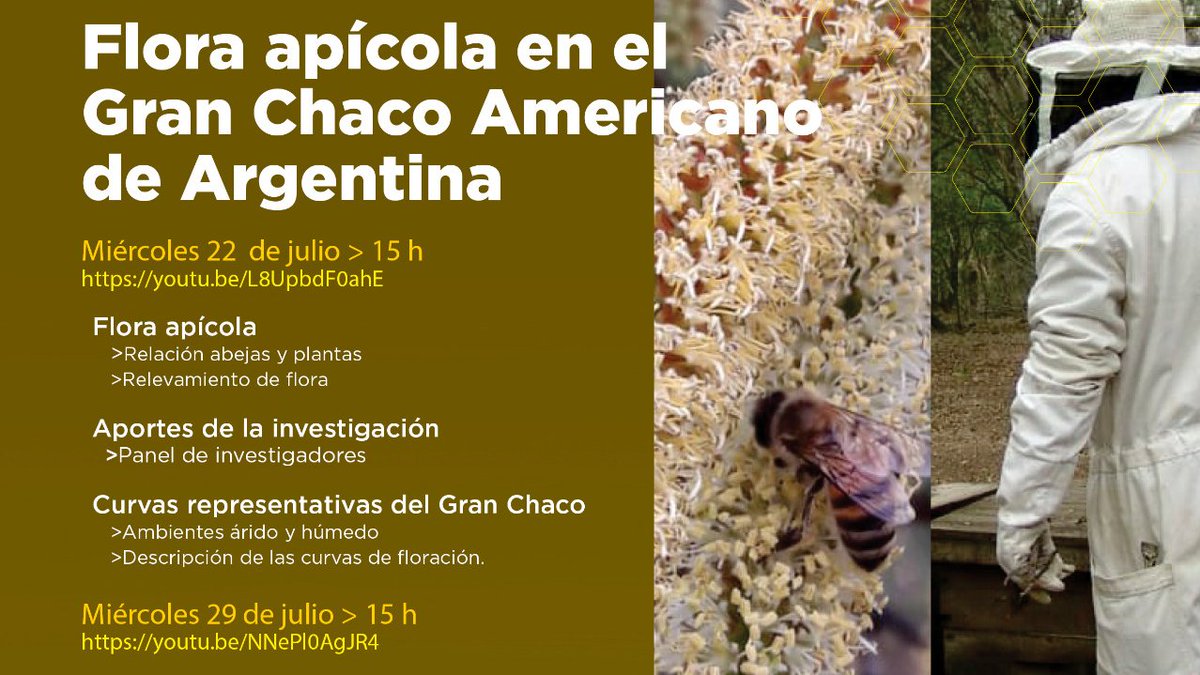 bedascarrasb's tweet photo. Para una #ApiculturaSustentable es indispensable ajustar el sendero tecnológico a las curvas de floración. Si queres  conocer mejor la flora del #GranChaco participa con los especialistas del @INTAProapi @REDLACaf 
👉 https://t.co/yRSWQVmAn8 https://t.co/DQmDI7QHmN