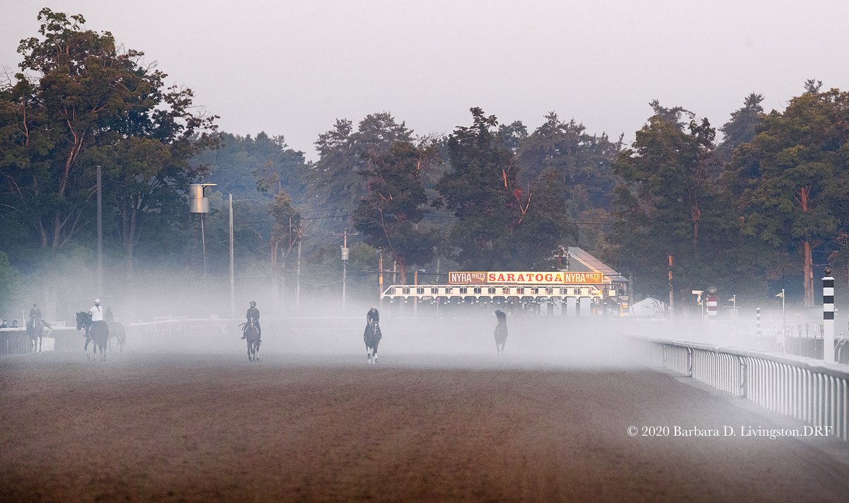 DRFLivingston's tweet photo. Another picture-perfect morning, today at Saratoga Race Course.

@TheNYRA https://t.co/kf4CD0WQuq