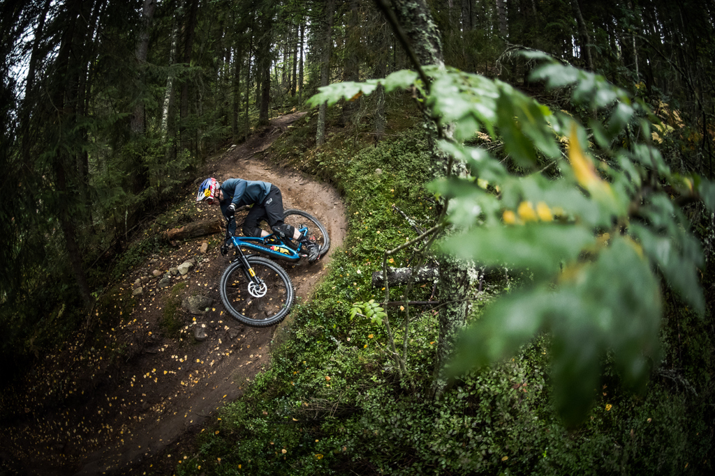 💎💍Ya viene en camino un lote de @ohlinsmtb 💥 #ohlins 😍 #ohlinsmtb #swedishgold 🤤 #topedegama #bikextorebuilt 🛠️ #mtb #bikeporn #xceedyourlimits