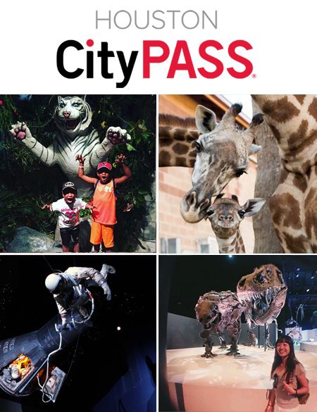 lifestyletexas's tweet photo. From the sharks at the @AquariumHouston to the dinosaurs at the @hmns , visitors and locals can once again experience the best of #Houston as @CityPASS attractions are safely reopening. Find deals here: https://t.co/0We56vbz8n #htx #houston #houstonweekend https://t.co/Pz6VB68I4y