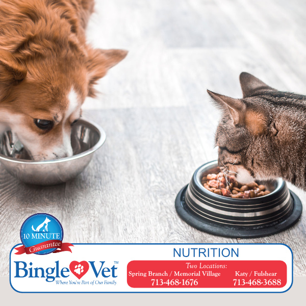 BingleVet's tweet photo. Not all dog food is the same. A well balanced diet is recommended - discuss your pet's diet with one of our veterinarians to ensure your pet is getting the best nutrition. #PetNutrition #PetKibble
https://t.co/cYMh5tyTMi https://t.co/W1BdQstDjV