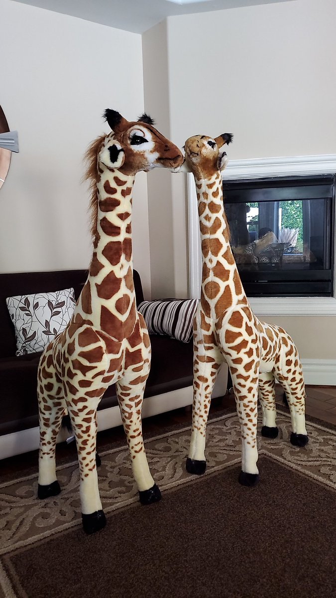 Tonyosad23's tweet photo. @MiniLaddd so i have 2 giraffes now only 38 to go... https://t.co/aXg7ihGgYo