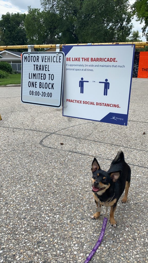 mitchrosset's tweet photo. Big smiles during our Saturday stroll. Love having this open street near our neighbourhood. Thanks @cityofwinnipeg! https://t.co/NMLUvGrU4H