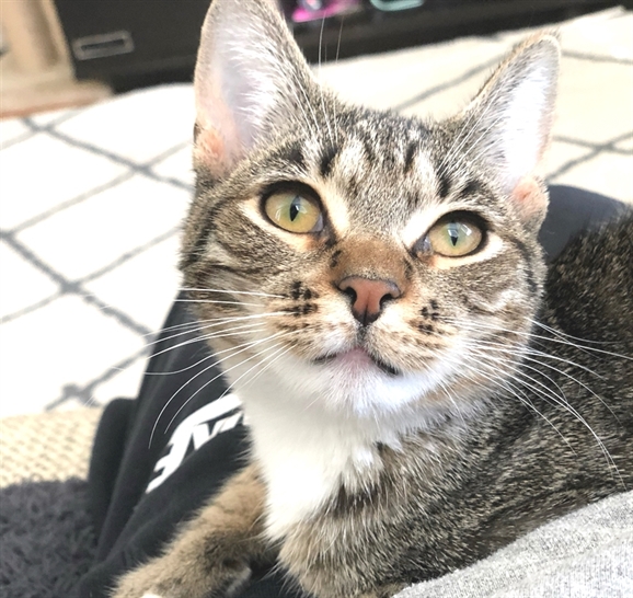 HereKittens's tweet photo. https://t.co/hkFV79DkHa