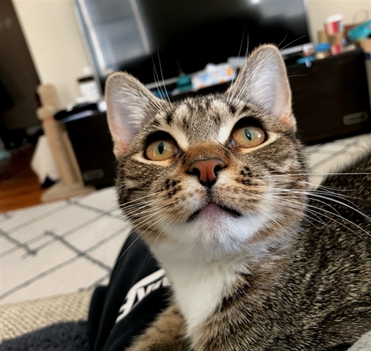 HereKittens's tweet photo. https://t.co/hkFV79DkHa