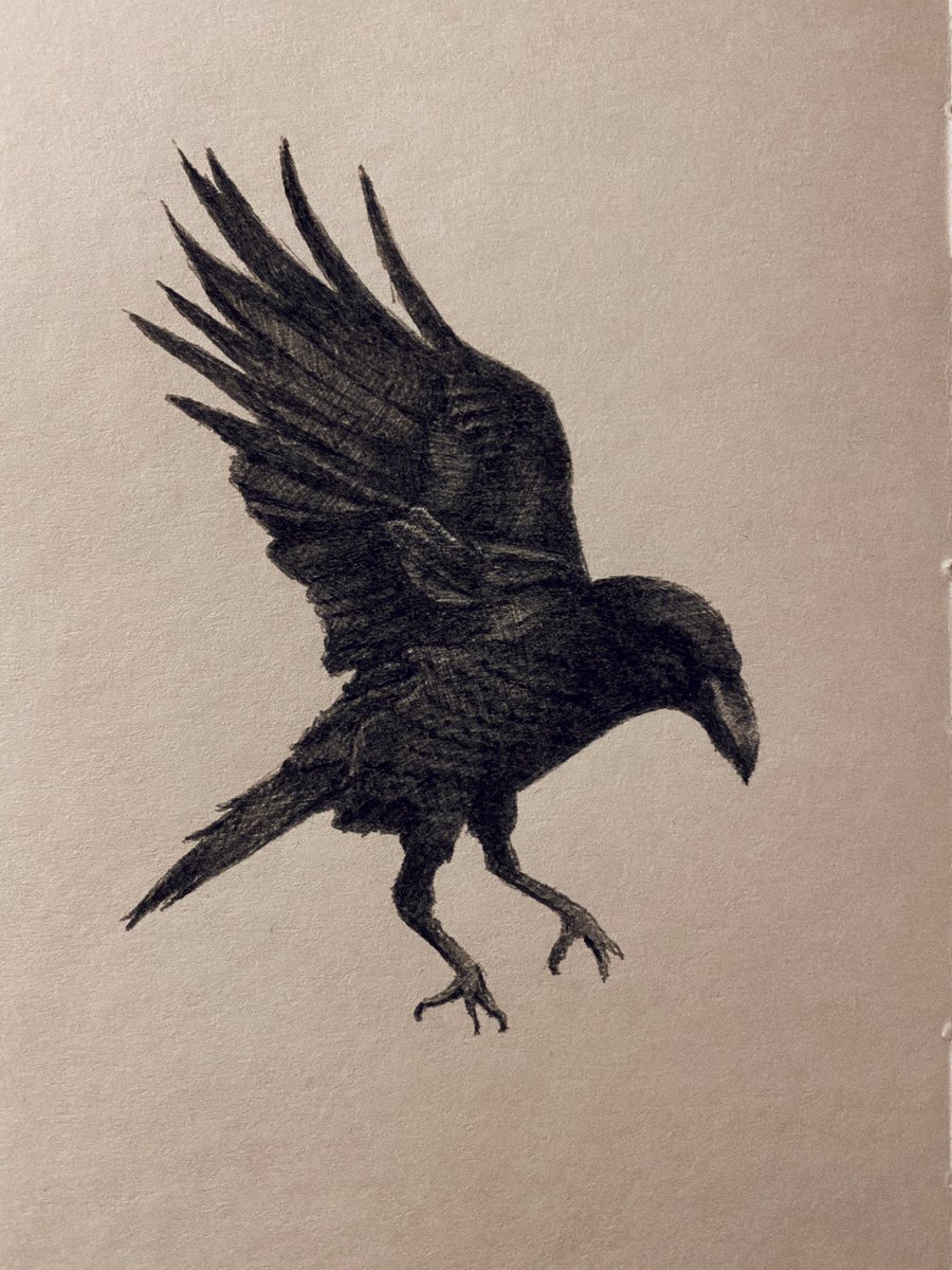 RobLenihanArt's tweet photo. A thought...
#drawing #sketch #sketchbook #drawing #crow #journal #thoughtoftheday #bird #meditation #art #artwork #book #thesecretsun #artgallery #manchesterartist #ukartist #artcollector #penandink #creative #drawingstudy #black https://t.co/mZtb9fniDg