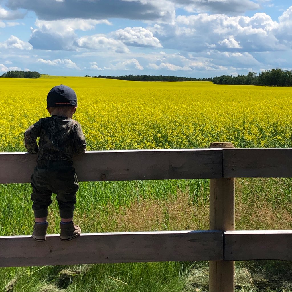 Sjogren Farms new crop adviser