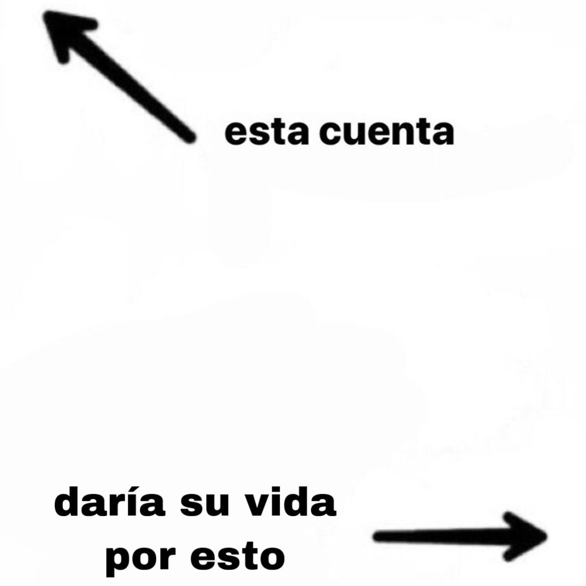 caroolht_'s tweet photo. https://t.co/De1UBUp6bK
