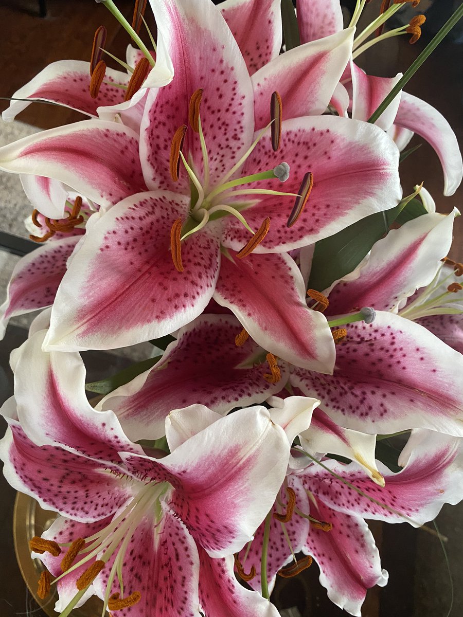 ☾ Gabi 🌹 Intuitive Styling ™ ♉︎ tweet media