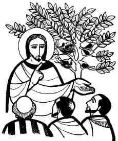 St Barnabas Morecambe tweet media