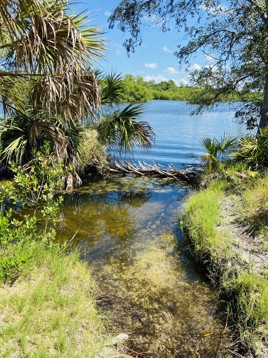 Adventuring today. 😊