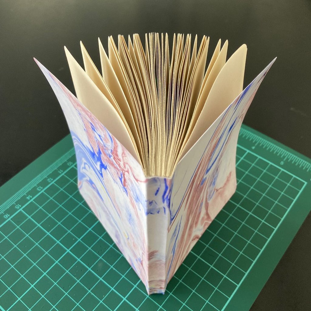 Danvoidz's tweet photo. Amigues ¿recuerdan que yo vivo de la encuadernación? Ayuden con un RT 📚 https://t.co/UkltzsAAkI