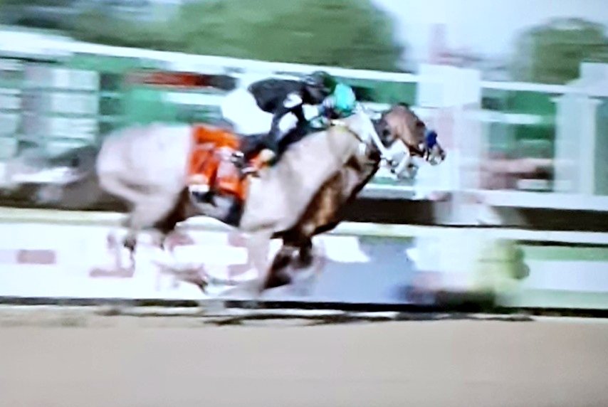 haraspaumar's tweet photo. También los gigantes, cometen errores! #authentic #MikeSmith #Haskell2020 https://t.co/aWEFKAme7p