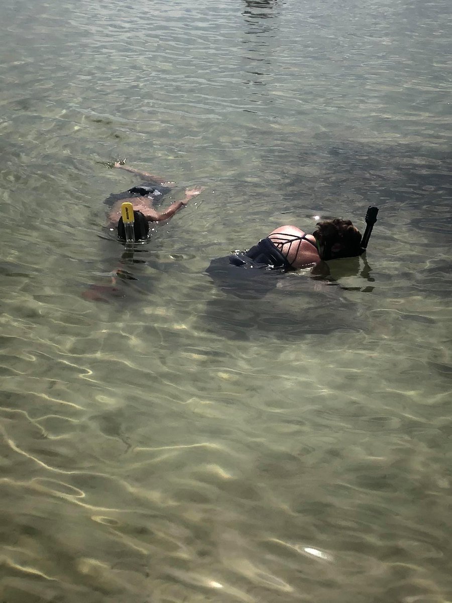 mistyblu21's tweet photo. Wishing I could spend every day at the beach 🏝 🐠 🦀 #panamacitybeach #familyvacation #snorkelsnorkelsnorkel https://t.co/s0HqZZdTgd