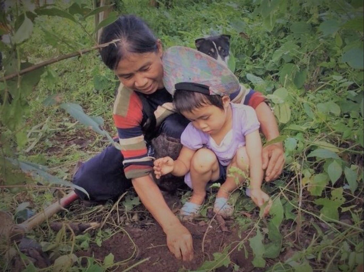 TrunksUpAlways's tweet photo. @edayphotos @BethDaydream @EcoDaydream @DaydreamFarm @CoachDaydream โYou, who are on the road
Must have a code that you can live byโ
Teach Your Children - Crosby, Stills & Nash. #LiveWithHope #NatureChild #LifeIsGood https://t.co/WLJZqc1QLg