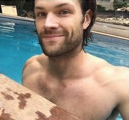 Jared Padalecki as moose; a thread