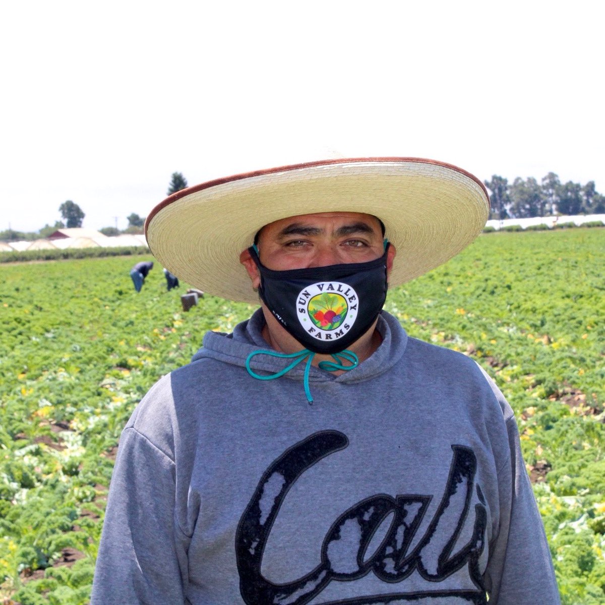 svf_farms's tweet photo. ** Team Member of the week ** 

Omar is our harvest supervisor and is very proactive and always strives to harvest the highest possible premium quality! 🥦🥒 

#watsonville #organic #watsonvile https://t.co/NyusTcjbyz