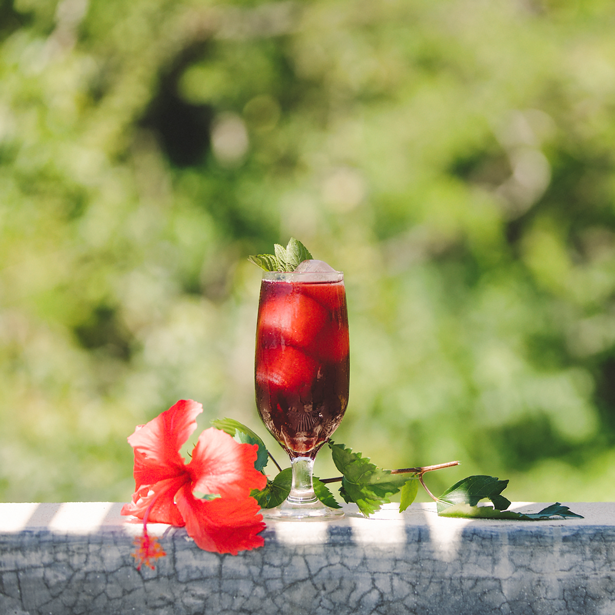 Don’t let the fiery garnish fool you. This drink is super chill.

COLORADITA
1.5 oz Tres agaves Reposado, 3 oz hibiscus-mint iced tea*, 1 oz Tres agaves agave nectar

In a tall glass with ice combine all ingredients and garnish with mint.