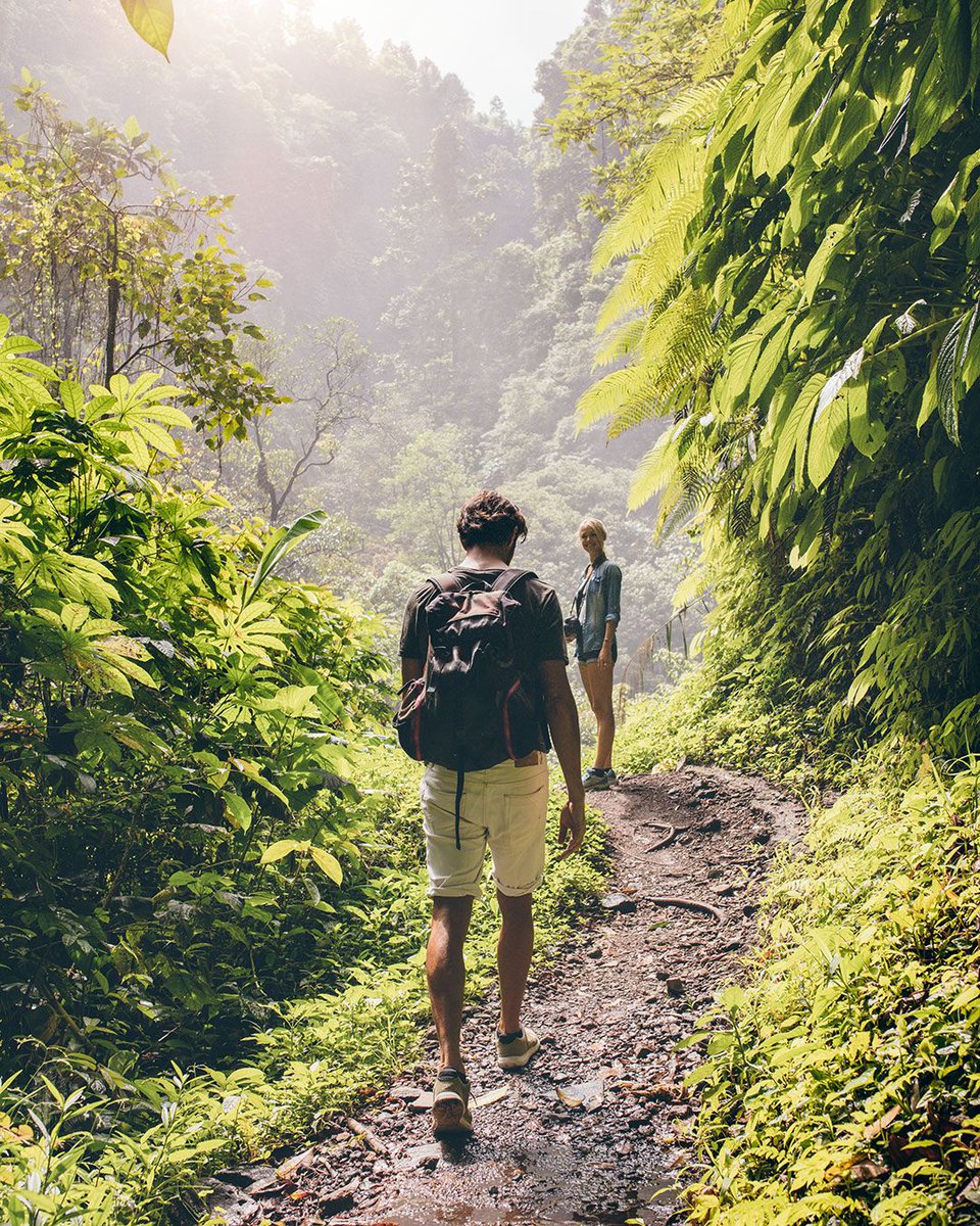 healspire's tweet photo. Every journey starts with the first step. Going down a path that leads to mental and physical health will always be worth it. 💚 #Healspire 
https://t.co/CNZeJMtqud

#mentalhealth #physicalhealth #health #wellness #wellbeing #cbd #cbdhelps #cbdoil #mindfullness #hiking #nature https://t.co/cERs1taR1L