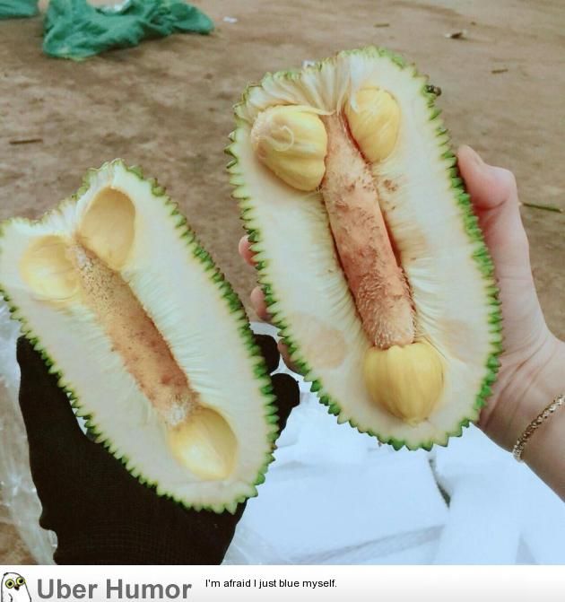 Beyond_Delights's tweet photo. Ok, now we see why jackfruit is getting so popular 🙃
.
#lookslikeadick #allnatrualsextoy #freeshipping #bodysafesextoyshop #pleasureproducts #bodysafe https://t.co/gTf1BaDo4D
