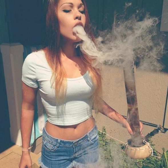 LuCkYDaDDa666's tweet photo. #GreenGrub💋💨💨💨
#weedsmokers
#STONER
#WeedLovers
#stonergirls
#THCfamily https://t.co/dZiVKwRN2d