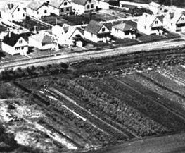I know that this was once Indigenous territory, and I can’t un-see the productive farmland that these homes were built on and originally looked out upon.