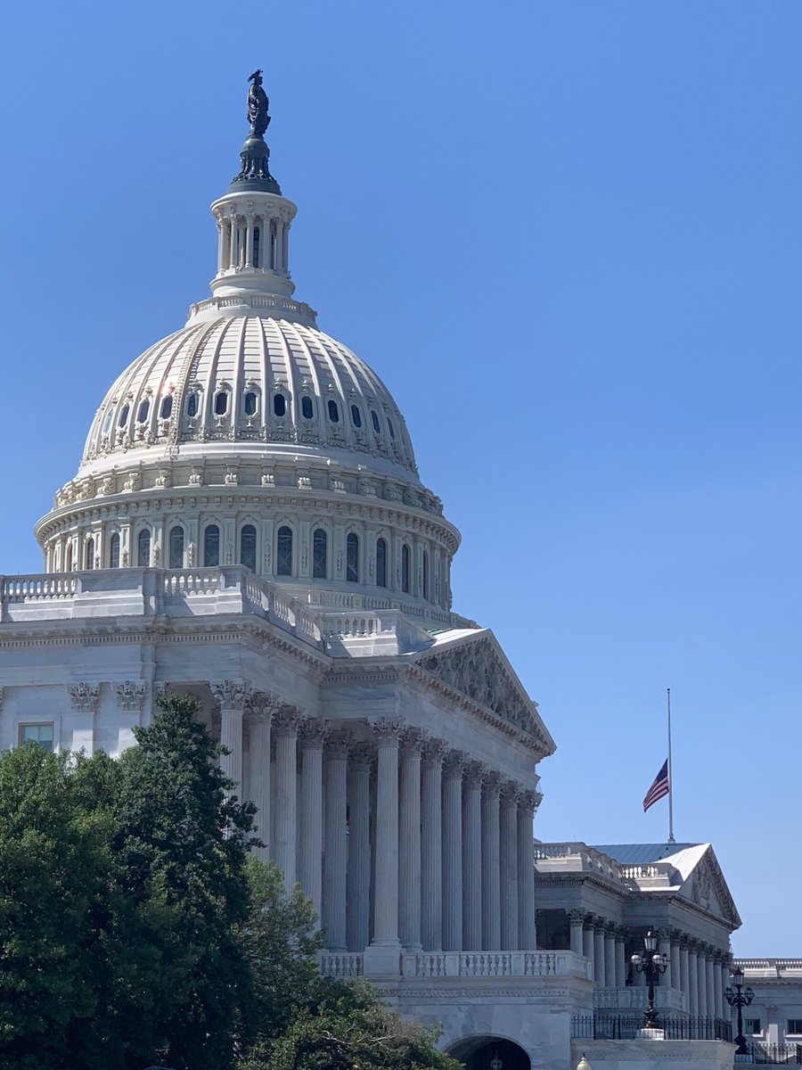 US Capitol &amp; House of Representatives with flag at half staff for <a href="/repjohnlewis/">John Lewis</a> #goodtrouble #RIPSir