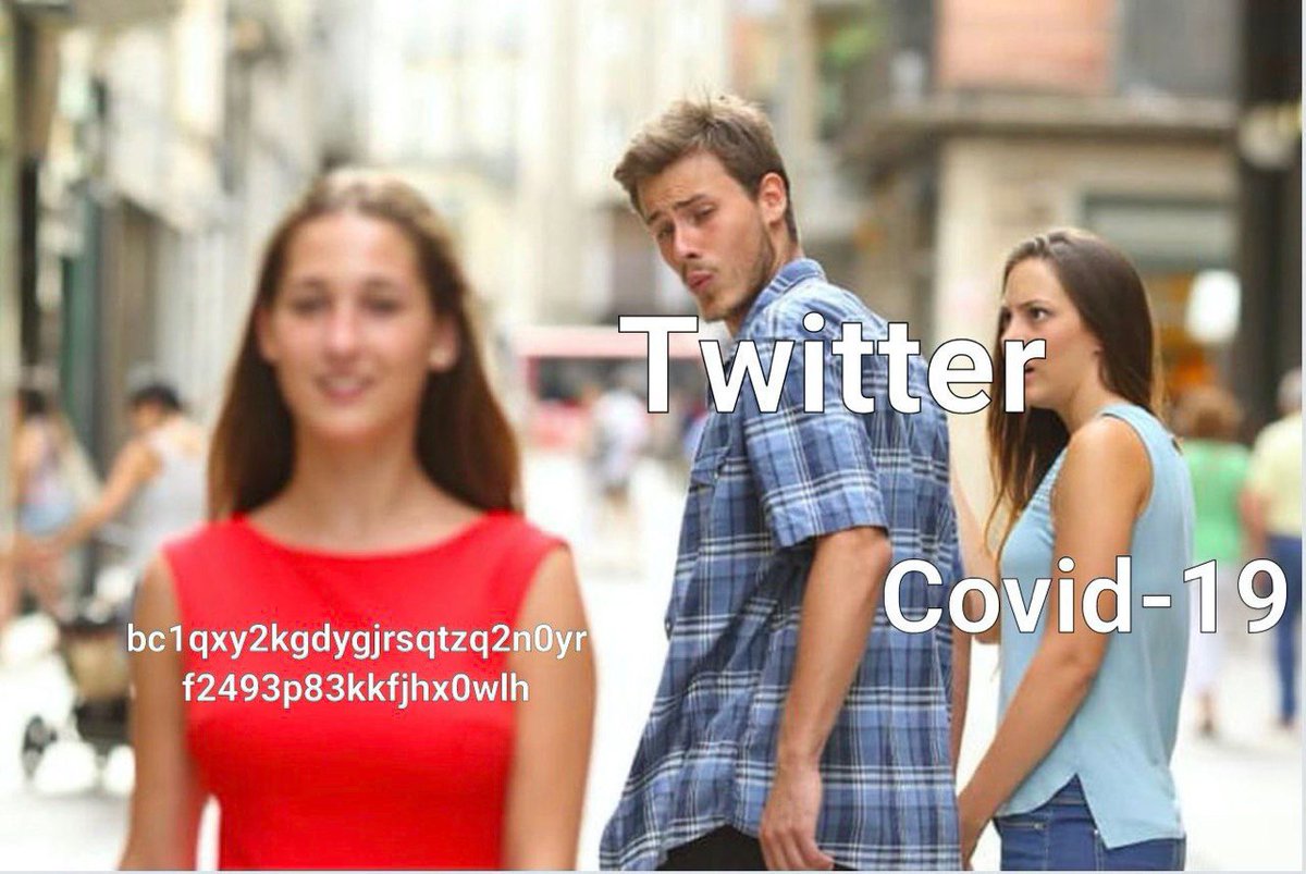 DeFiFox (@cryptofox19) on Twitter photo 