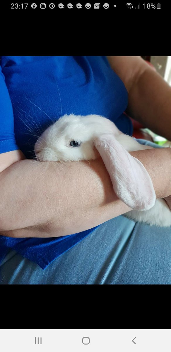 💖Sharna Ashton💖 tweet media