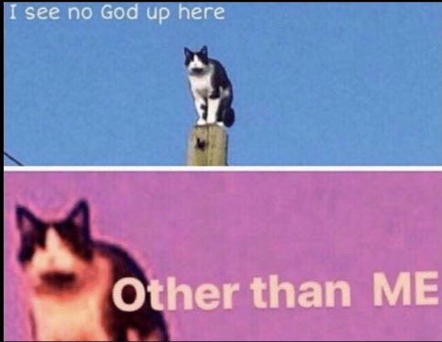 _wdhs_'s tweet image. Same energy