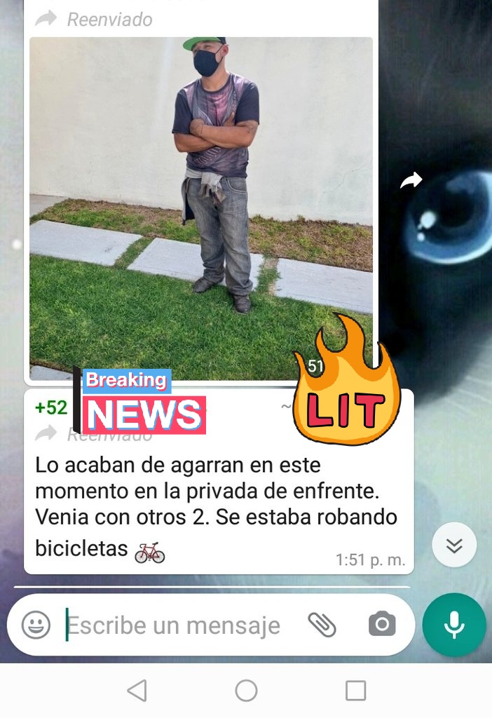 RealSolare's tweet image. A pesar de las plumas y vigilancia siguen aumentando los robos en @realsolare @Vinte_Mx @RealSolare