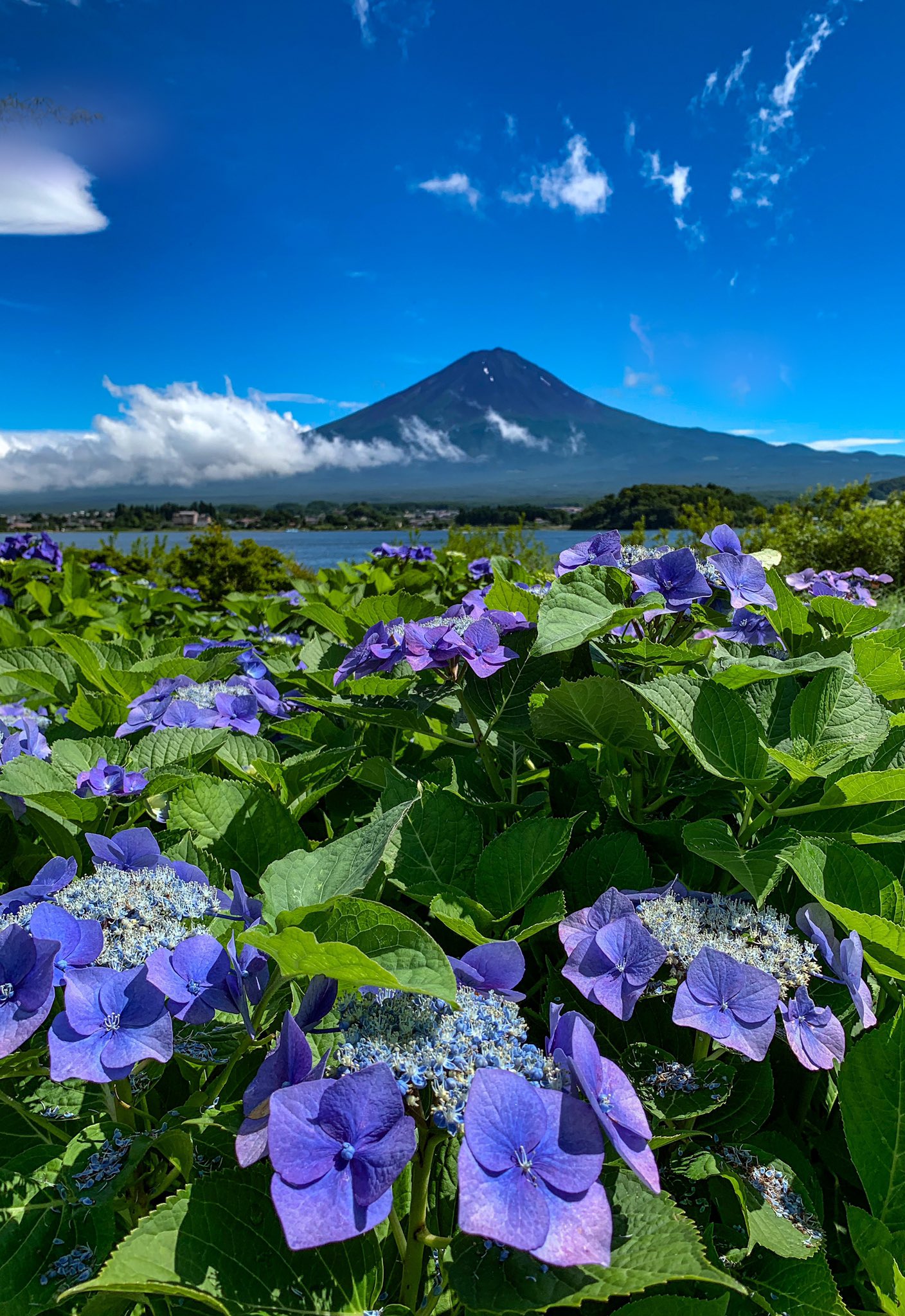 Take 夏雲の空と紫陽花 縦位置 待ち受けにどうぞ T Co 6um9qfmrew Twitter