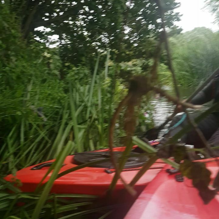 shane_rutter1's tweet photo. Saving a pigeon stuck in the river #kayak #kayaking #river #rivernene #greatoutdoors https://t.co/OvG20BtTUY https://t.co/VpuiKne0Qx