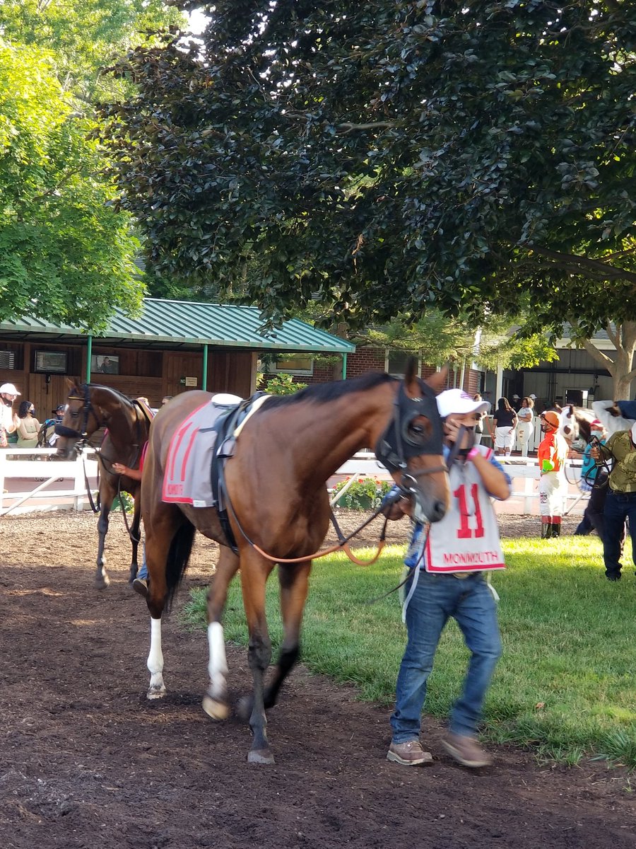 TheRacingBiz's tweet photo. .@njbreds Horologist returns to the scene of her greatest triumph, last year's Monmouth Oaks, in the Molly Pitcher. #Haskell2020 https://t.co/A769QxlsKI